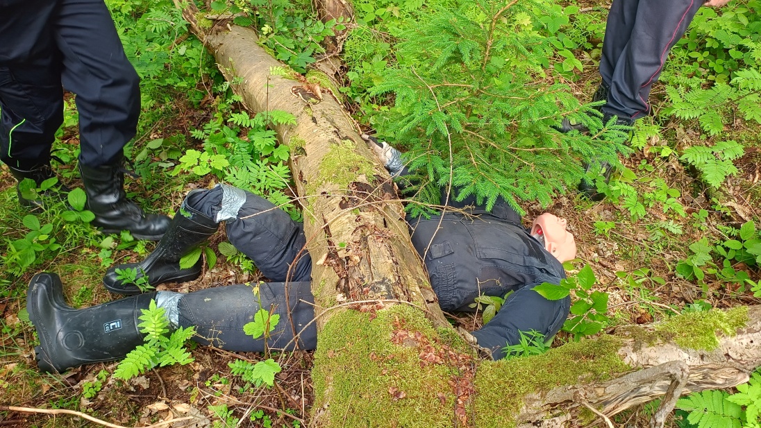 IMG_20250612_155925975_HDR